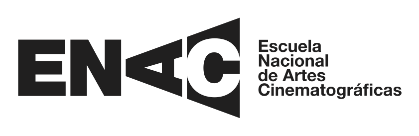 tam enac logo 1