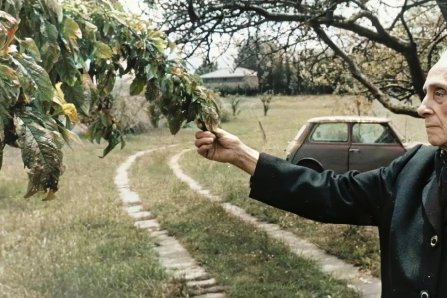 Dolores Ibárruri. La Pasionaria