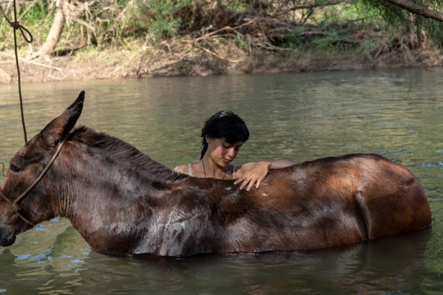 La Arriera (The Muleteer)