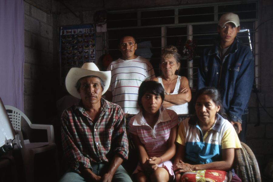 Mi vida dentro