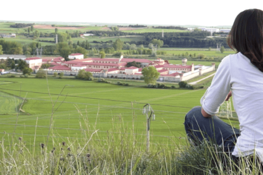 La cigüeña de Burgos