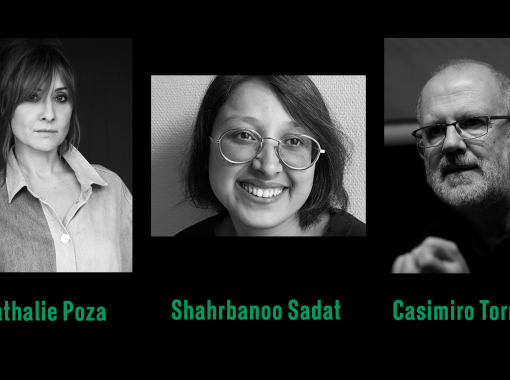 A prestigious jury for a luxury international competition: IV Festival de Cine por mujeres, Madrid